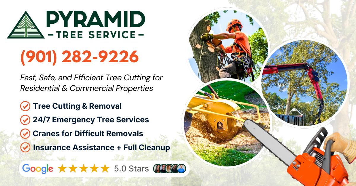 Pyramid Tree Service work site